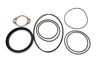 Miller Seal kit, 250PR DP 4979(For Turret Swing Drive # 0311453)