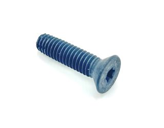 Miller Self Tapping Torx Screw (5/16"-18 x 1-1/4")